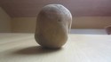 Concentrez-vous sur cette pomme de terre