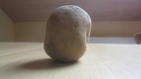Concentrez-vous sur cette pomme de terre