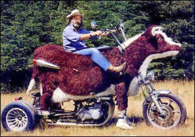 Une moto en apparence "Vache".