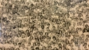 Find The Panda