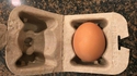 Kan tu veux juste un œuf