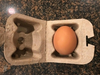 Kan tu veux juste un œuf