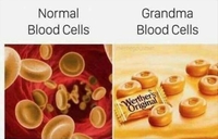 Cellules sanguines