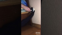 Voici pourquoi souvent on galère pour brancher une prise