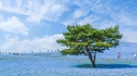 The Blue Universe