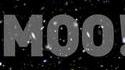 Moo