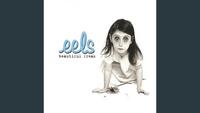 Eels