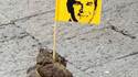 Territoire de Bush