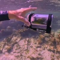 Pendant ce temps-là, au Bahamas