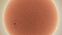 Silent Spring Sun