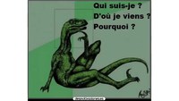 Les Dinosaures de France