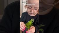 Les enfants sont merveilleux...
