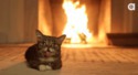 Cheminée.gif