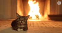 Cheminée.gif