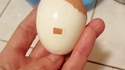 Oeuf à la berlinoise ou Adoeulf