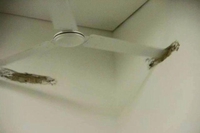 Ventilateur au plafond