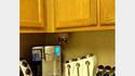 Chat espion dans la cuisine