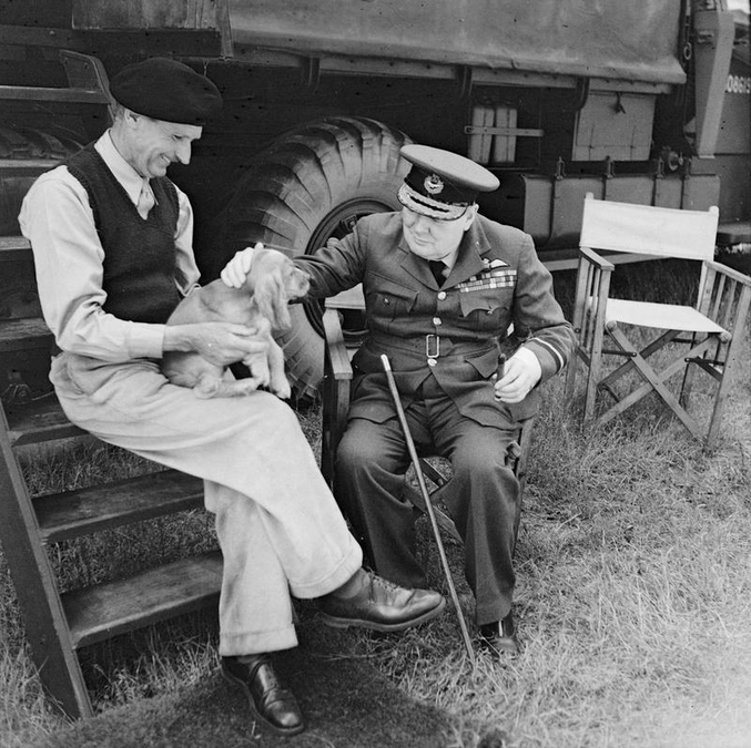 Le maréchal britannique Montgomery, connu pour avoir affronté le général Rommel lors de la campagne d'Afrique du Nord.
Il avait deux chiens qu'il avait nommés Rommel et Hitler. Ici, c'est Rommel.
