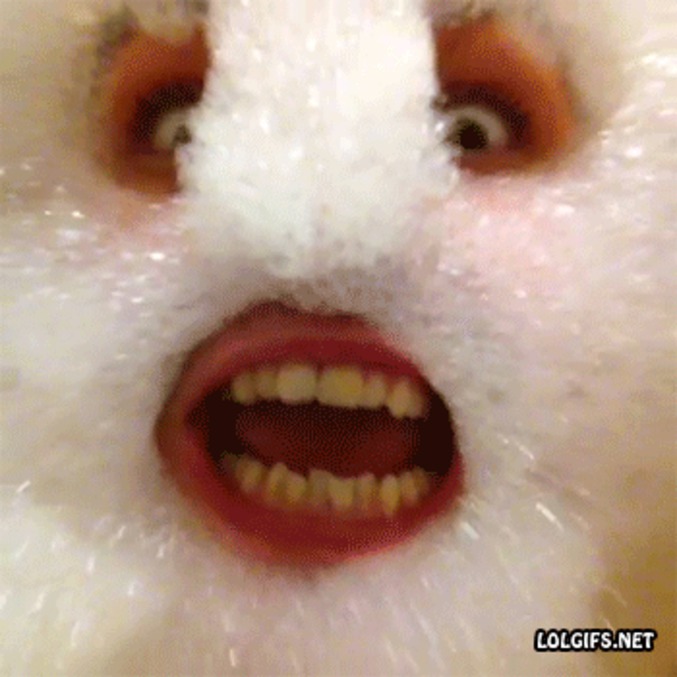 M. Mousse