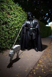 Promener son chien