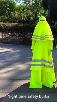 Niqab de sécurité