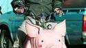 Pigmobilette