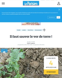 Nous sommes en danger!