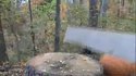 Halloween destructions