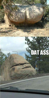 DAT ASS