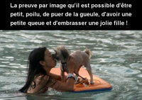 La preuve par l'image