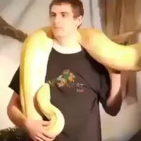 Kan t'as une grosse bête