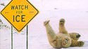 Watch for Ice