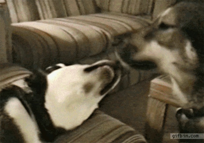 French kiss