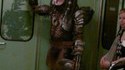 Predator a aussi une vie
