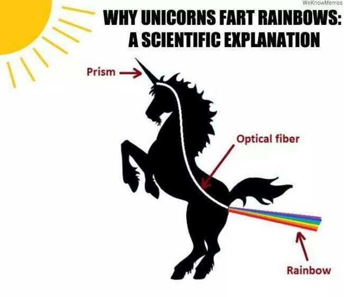 Les licornes ont un système interne en fibre optique...