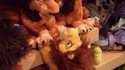 Au revoir Mufasa