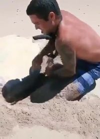 Pendant ce temps, à la plage