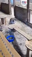 Casse toi !!