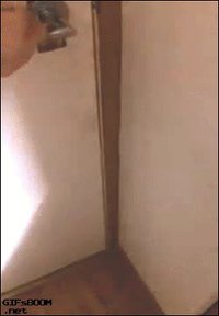 Une bande d'affamés synchro.