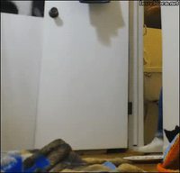 R2-D2 du pauvre