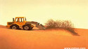 Dune