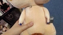 Drôle de peluche