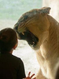 Une rencontre
