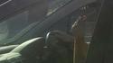 Se couper les poils de nez en voiture