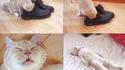 Chaussures puantes