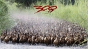 300