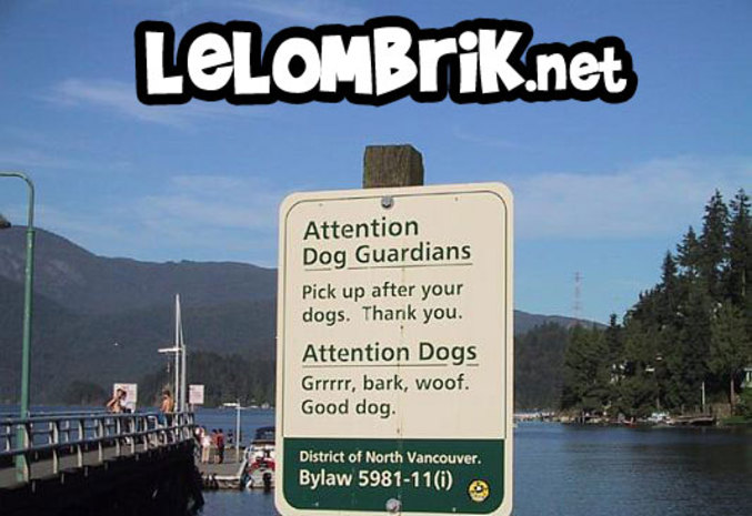 Un panneau d'avertissement bilingue pour maître et chien.