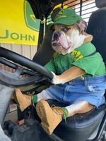 Les routiers sont sympas...