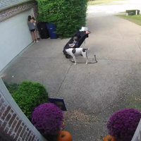 Règle numéro 1 : toujours avoir ses enfants sous les yeux