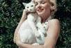 La chatte à Marilyn Monroe